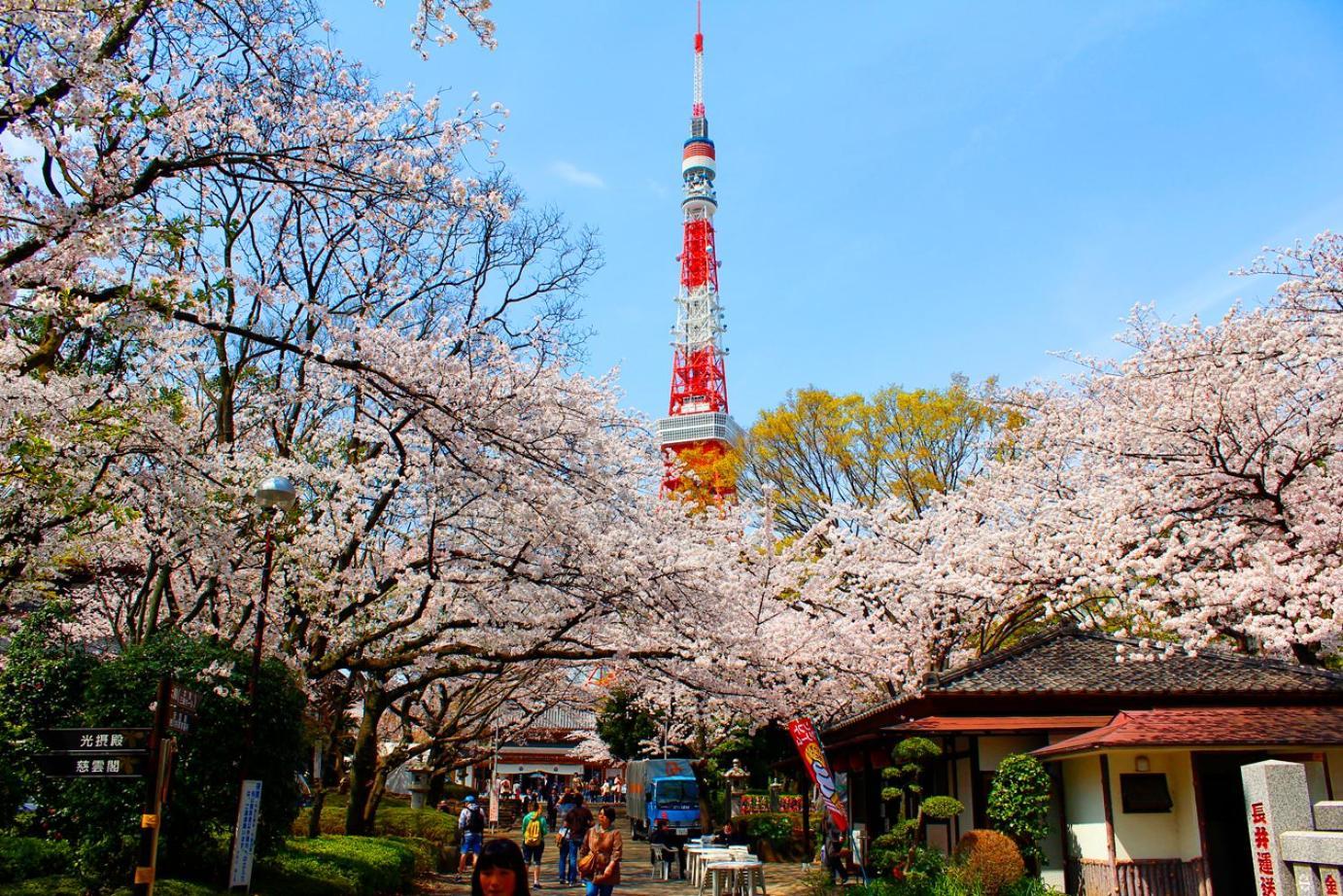 Rose Stay Tokyo Shiba Park Kültér fotó