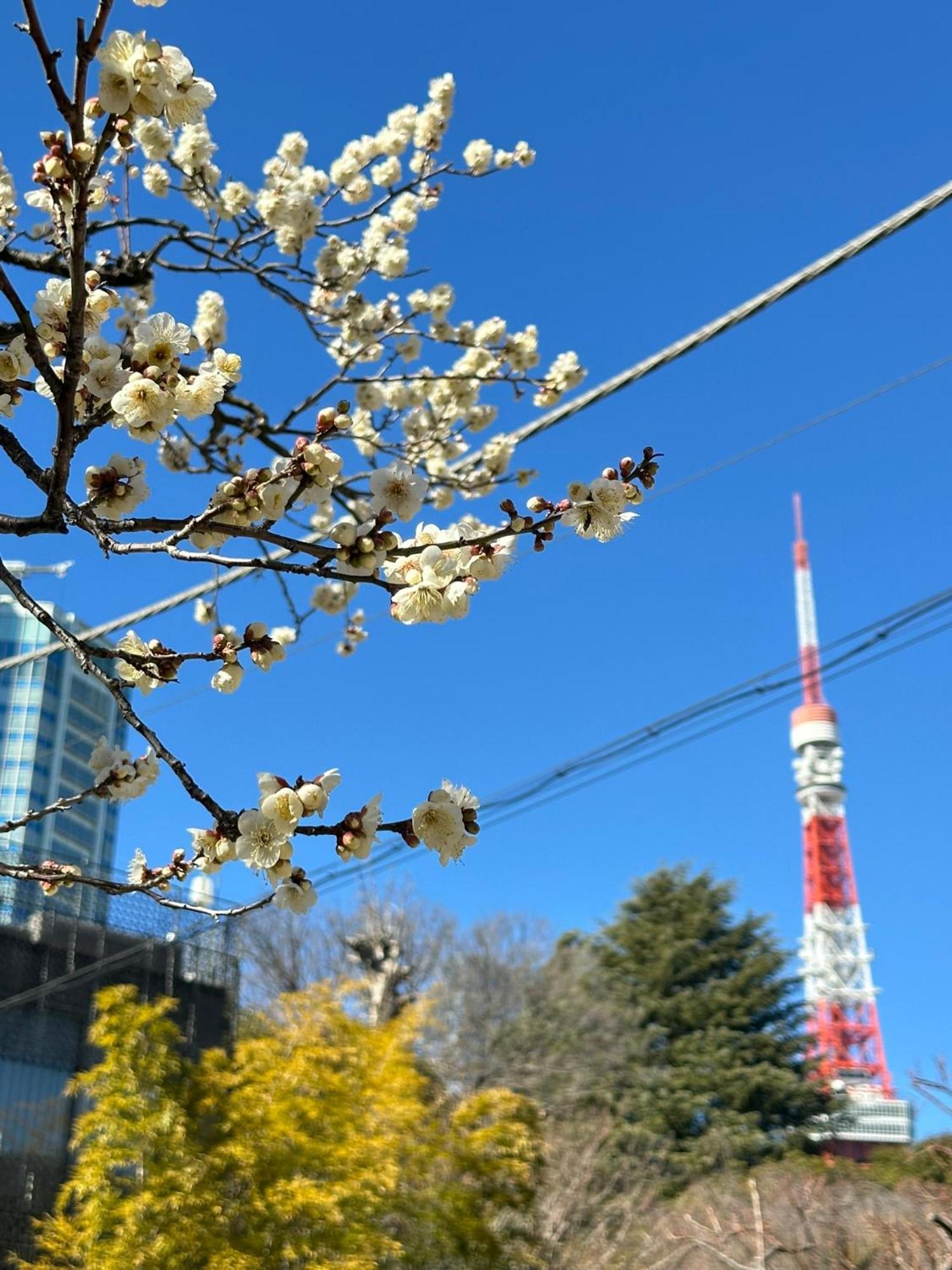 Rose Stay Tokyo Shiba Park Kültér fotó